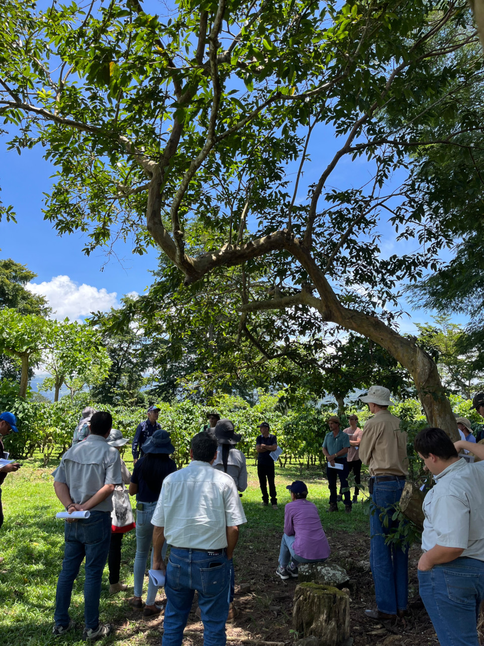 Capacitaciones en Buenas Prácticas Agrícolas NAMA Café y Transforma-Innova
