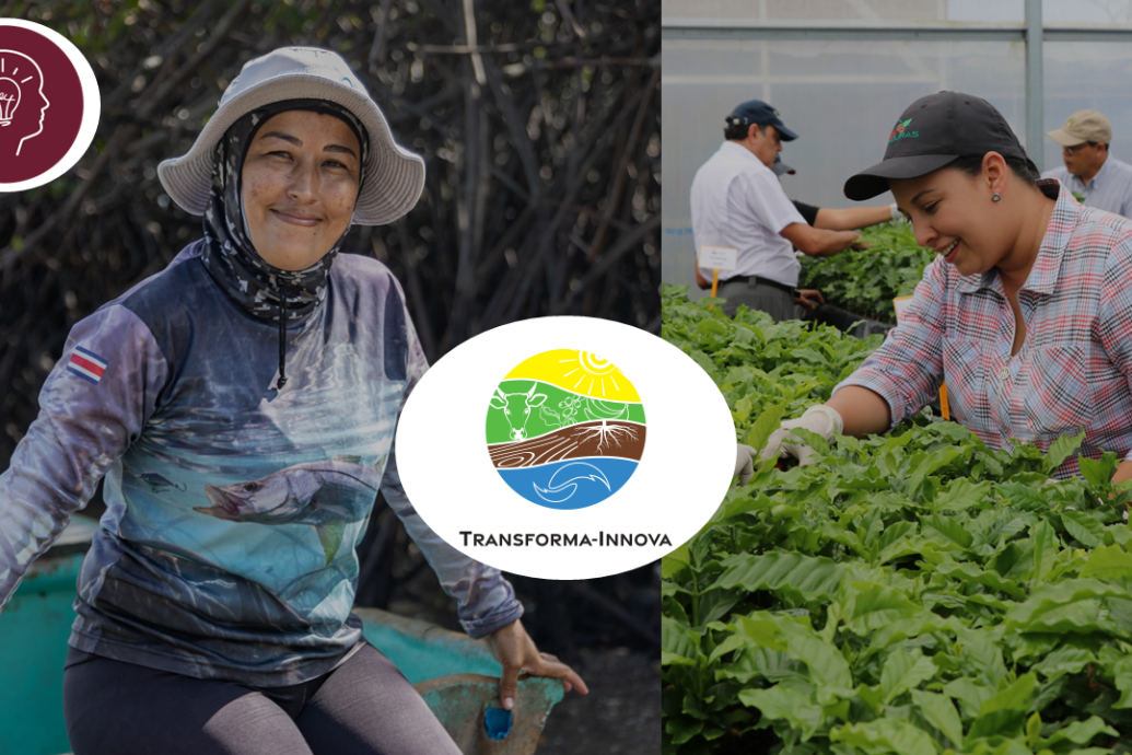 Género y juventudes - Programa TRANSFORMA-INNOVA