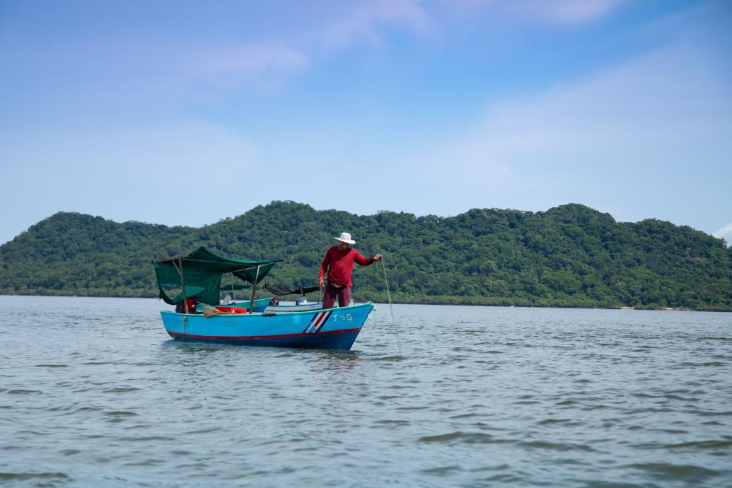 Pesca 01