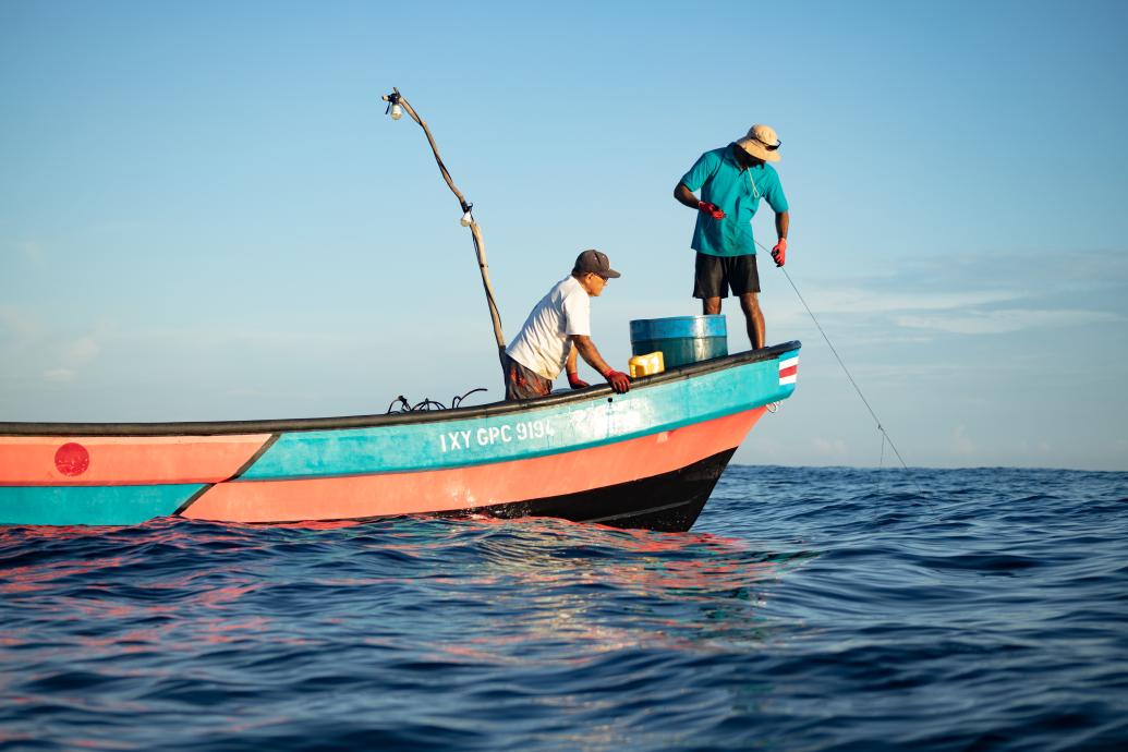 Pesca 05