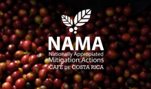 Nama café